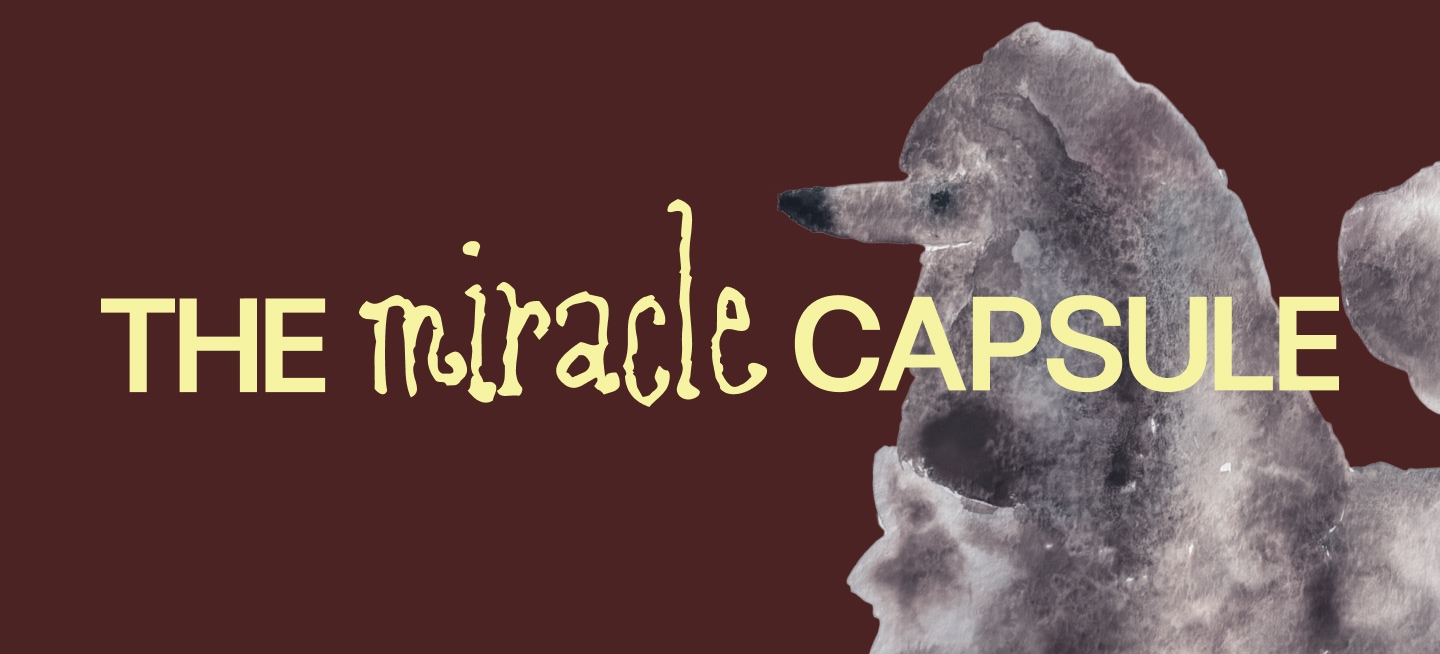 Miracle capsule